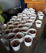 Hot meals